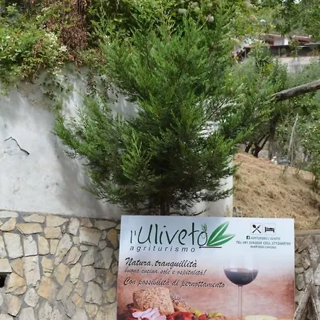 Agriturismo L'uliveto Farm stay Gragnano