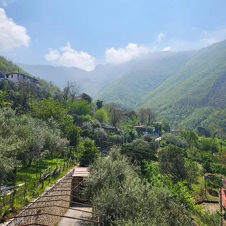 Agriturismo L'uliveto Farm stay Gragnano