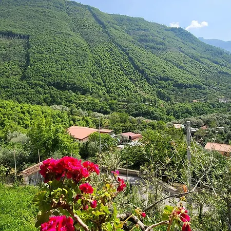 Agriturismo L'uliveto Farm stay *