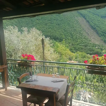 Agriturismo L'uliveto Farm stay