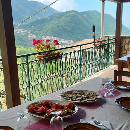 Agriturismo L'uliveto Gragnano