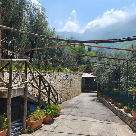 Agriturismo L'uliveto *